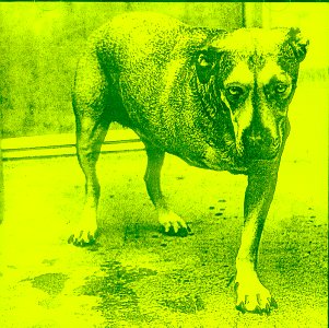 ALICE IN CHAINS -- Alice In Chains (Sony, 1995)