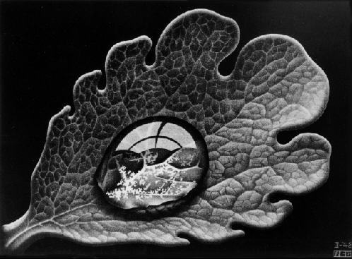 Escher: Dewdrop